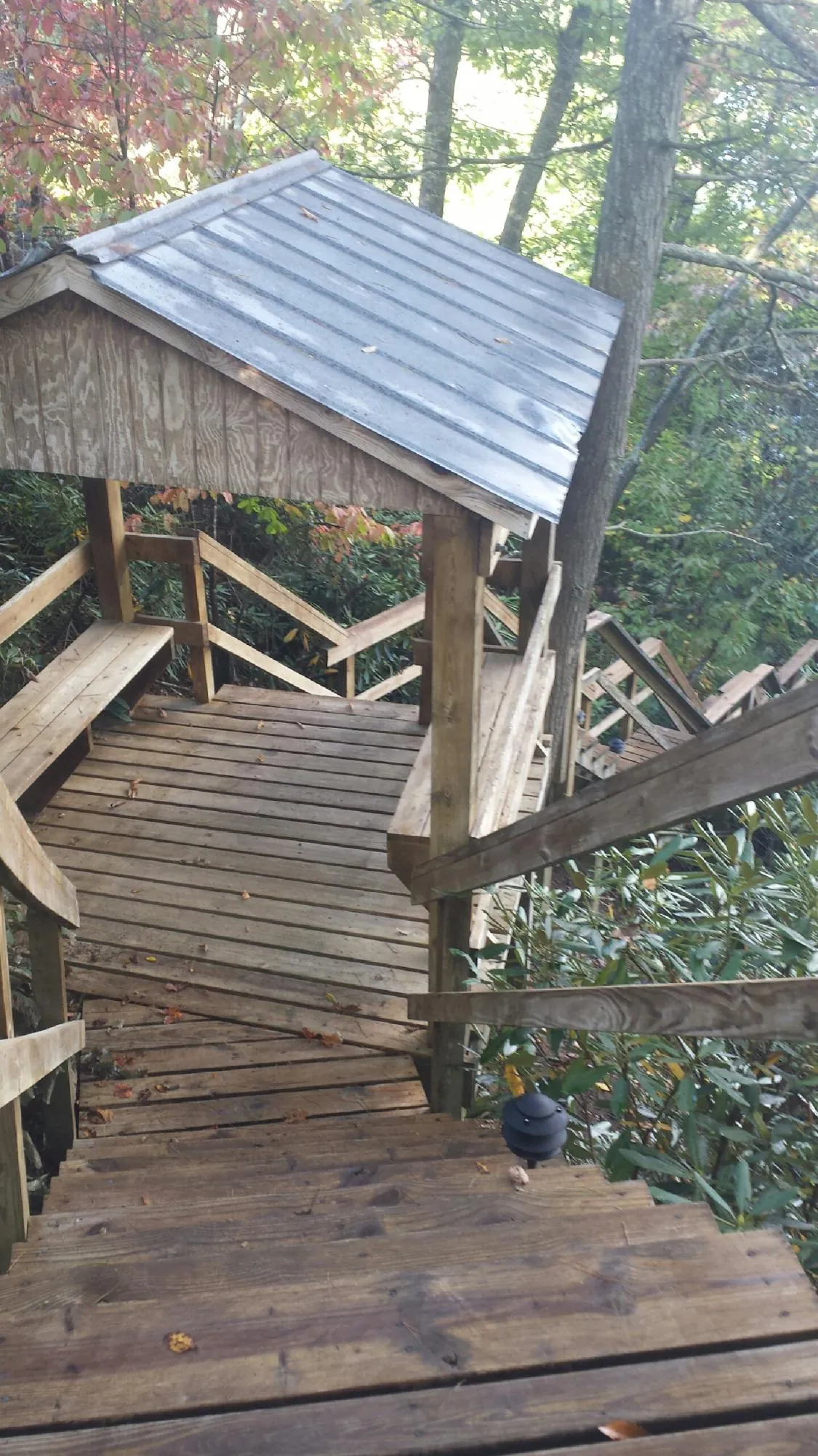 Metal roofed shelter over wooden steps on a wooded walkway — Skylight Repair & Installation work by our crew in Brush Prairie