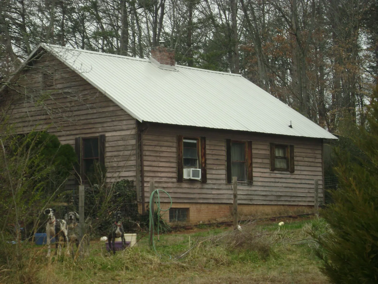 White metal roof on an old wood sided farmhouse, from a Metal Roof Installation job in Brush Prairie